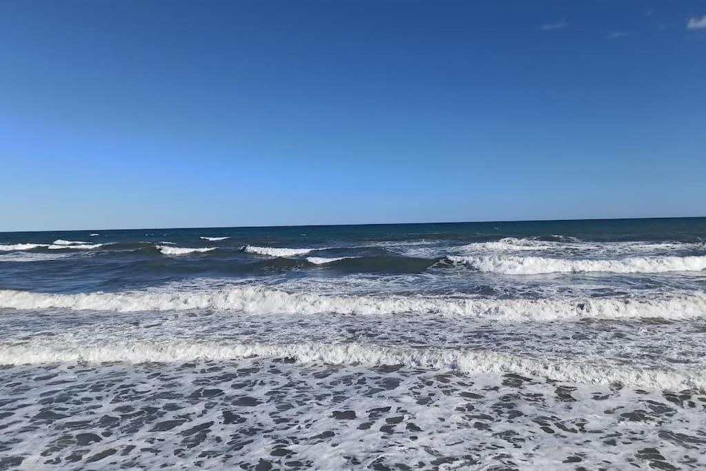 Piso En Playa De Gandia! Leilighet Eksteriør bilde